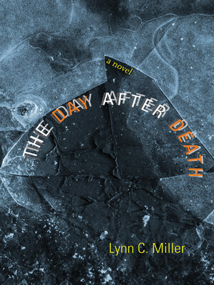 cover image of The Day after Death
